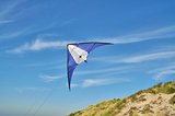 210T Polyester-Drachen Aninan