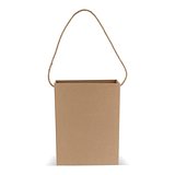 Kartontasche 24x8x32cm Gillanign