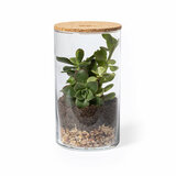 Terrarium Idmak