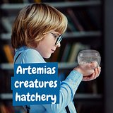 Lernspiel lieferung inklusive einer kraftpapiertasche (90 g/m²) Oleen