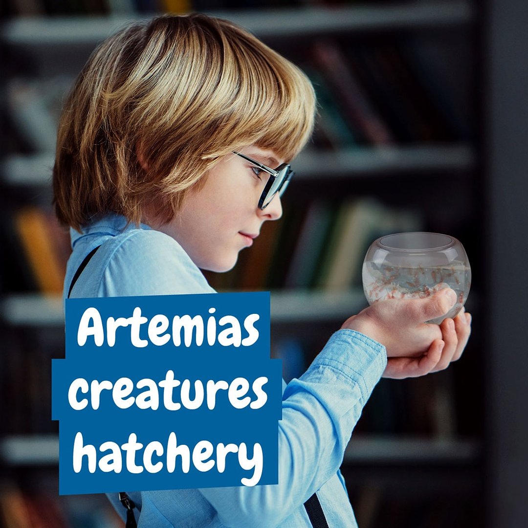 Lernspiel lieferung inklusive einer kraftpapiertasche (90 g/m²) Oleen