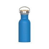 Wasserflasche Ashton 500ml Giuseht