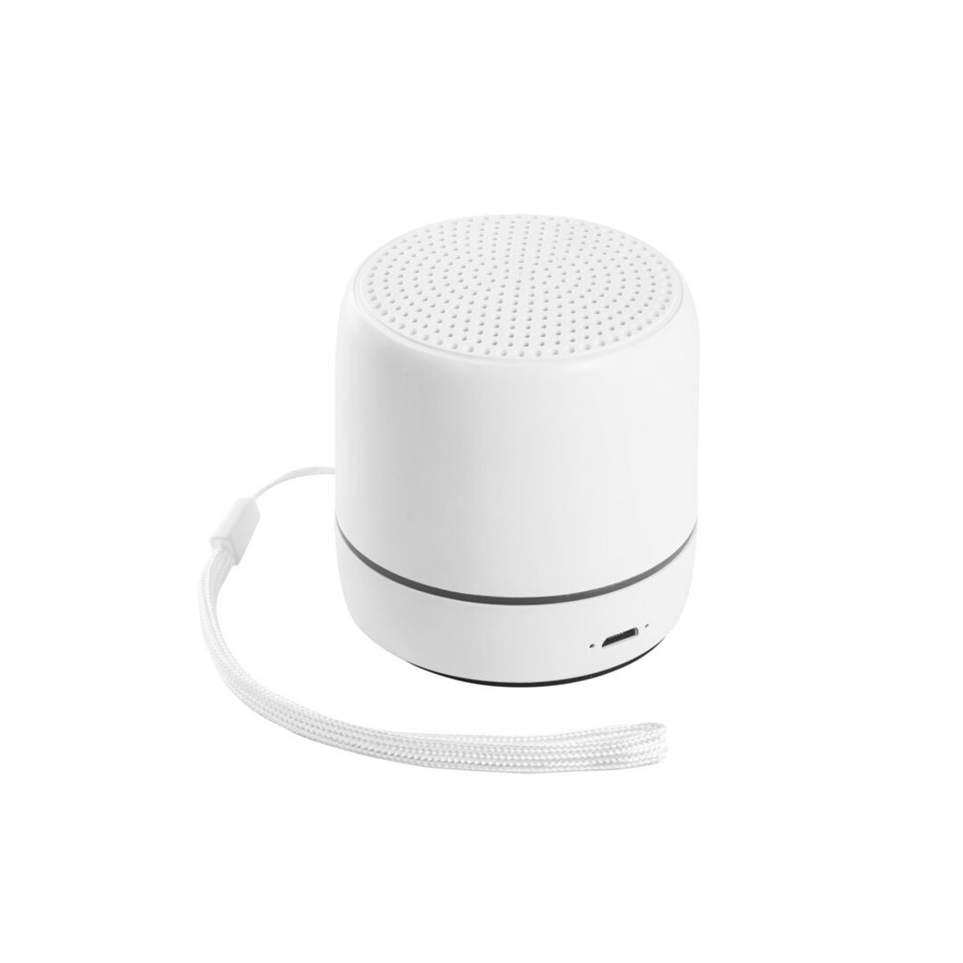 Lautsprecher Stgauna