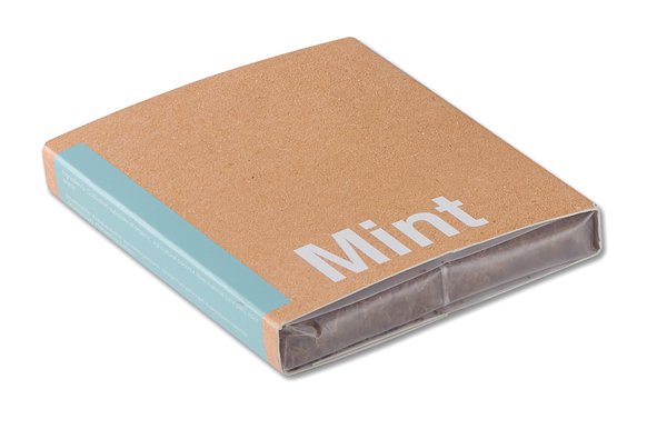 Pflanz-Set "Minze" Paulia