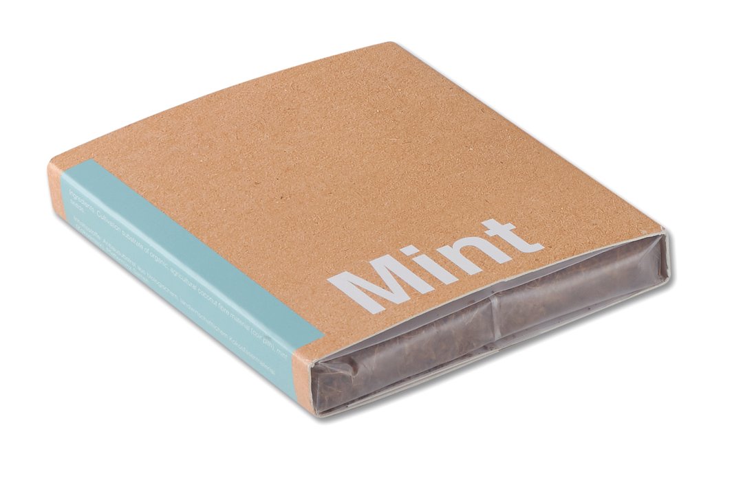 Pflanz-Set "Minze" Paulia