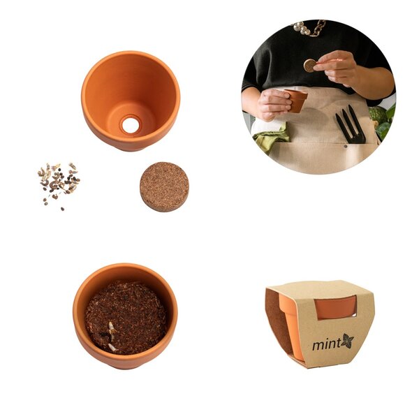 Terracotta Töpfchen - Minz Köbis