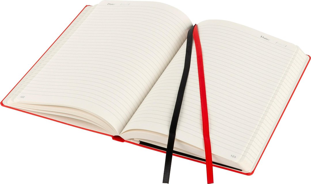 Notizbuch Bister | A5 | Liniert