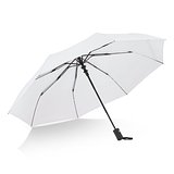 Daintree 190T Pongee 21.5" Faltbarer winddichter Regenschirm Auto open Corschte