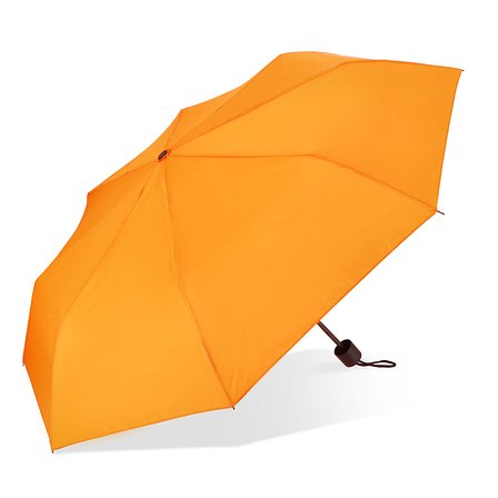 Congo 190T Pongee 21" Faltbarer Regenschirm Rett