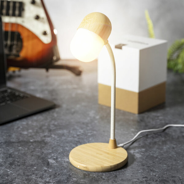 Multifunktion Lampe Idars