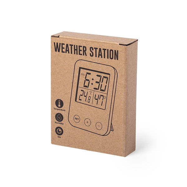 Wetterstation Idein