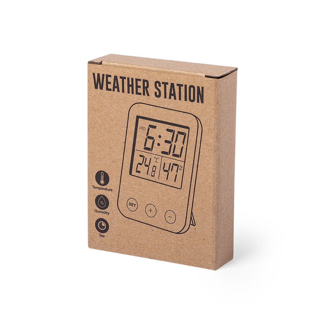 Wetterstation Idein