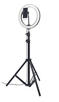 Set LED-Ringleuchte 26cm Chlanna
