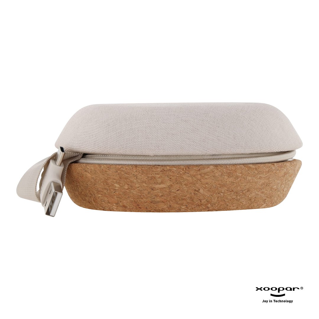 Meetair Conference Speaker Anricch