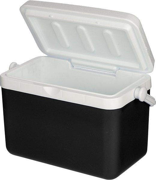 Kühlbox 4 Liter Uongn