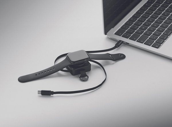 Einziehbares 100W-Typ-C-Kabel Gieritana