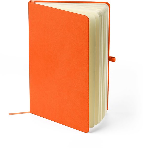 Recyceltes Notizbuch A5 Steilga