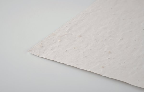 DIN A4 Wildblumen-Samenpapier Utzzi