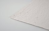 DIN A4 Wildblumen-Samenpapier Utzzi
