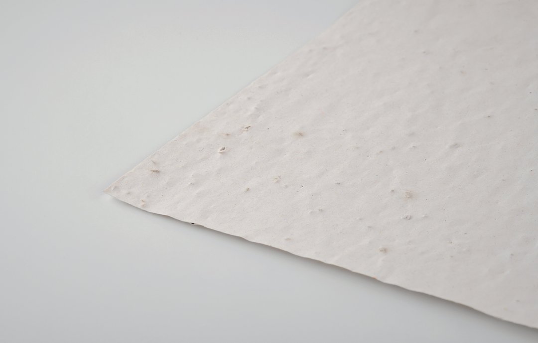 DIN A4 Wildblumen-Samenpapier Utzzi