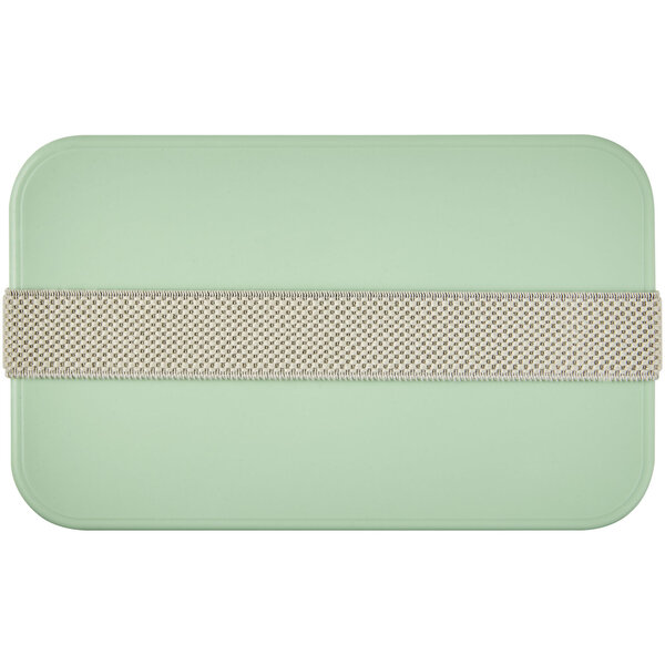 Renew Lunchbox - Coriorena