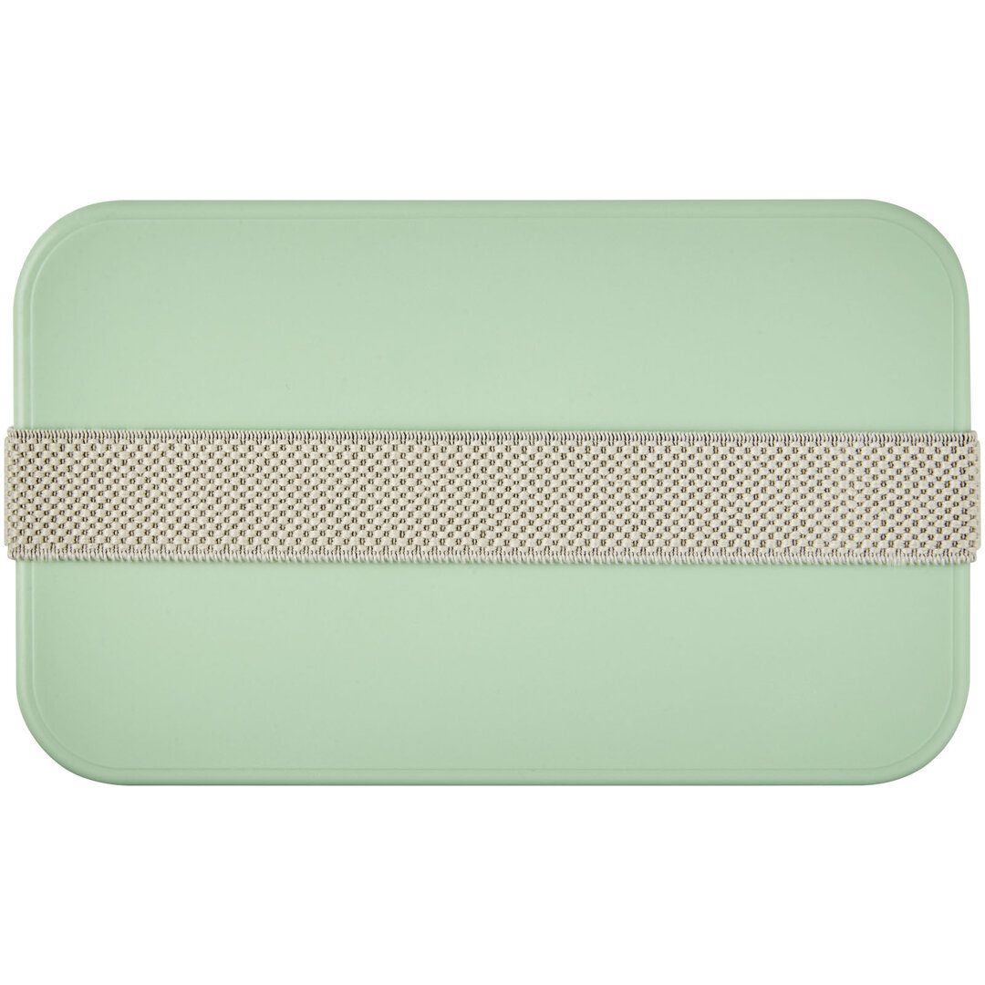 Renew Lunchbox - Coriorena