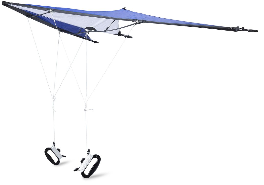 210T Polyester-Drachen Aninan