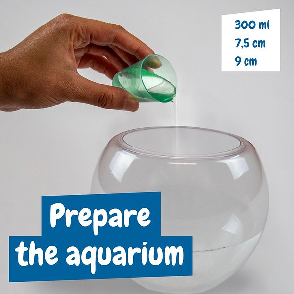 Lernspiel für Kinder Giamunana