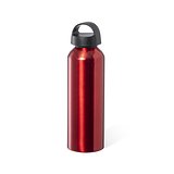 Trinkflasche Idthy
