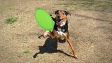 Frisbie Idson
