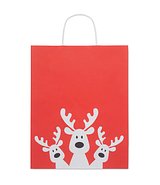 Geschenkpapiertüte, gross Doldia