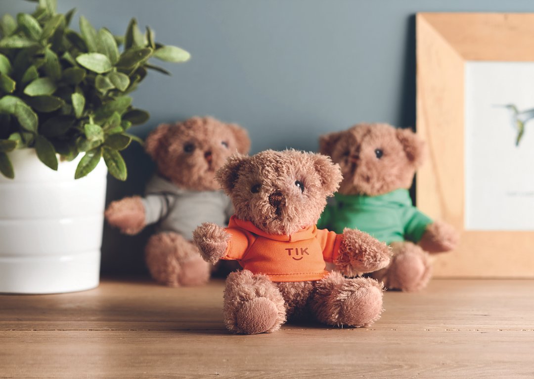 Teddybär mit Hoody Bengi