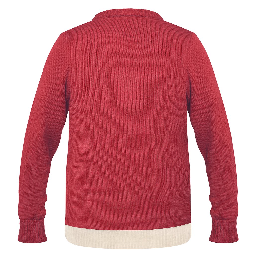 Weihnachtspullover L/XL Anneli