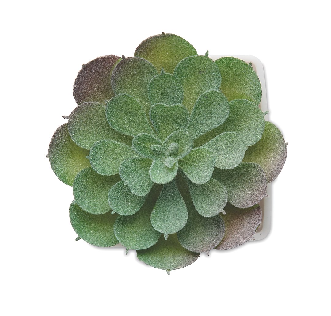 Mini-Kunstpflanze Bistinat