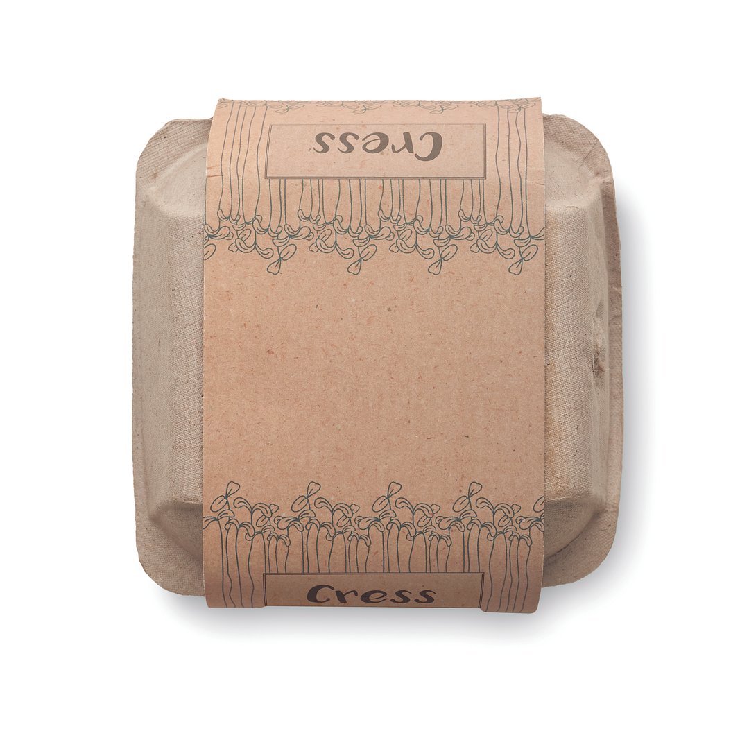 Saat-Set Kresse Lolll