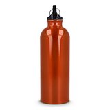 R-Edelstahl einwandige Flasche mit Karabiner 500 ml Nolfrina