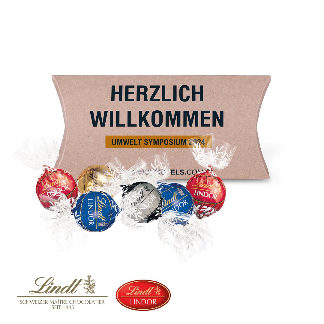 Kissenverpackung "Creative" mit Lindt Lindor Pralinés