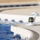Halter Idhel