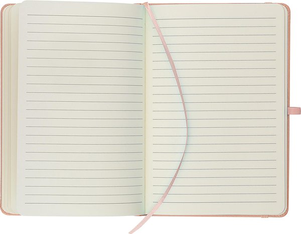 Recyceltes Notizbuch A5 Steilga