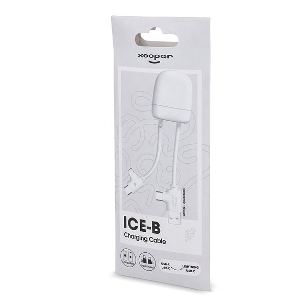 ICE-B Multi-Ladekabel Stgaulf