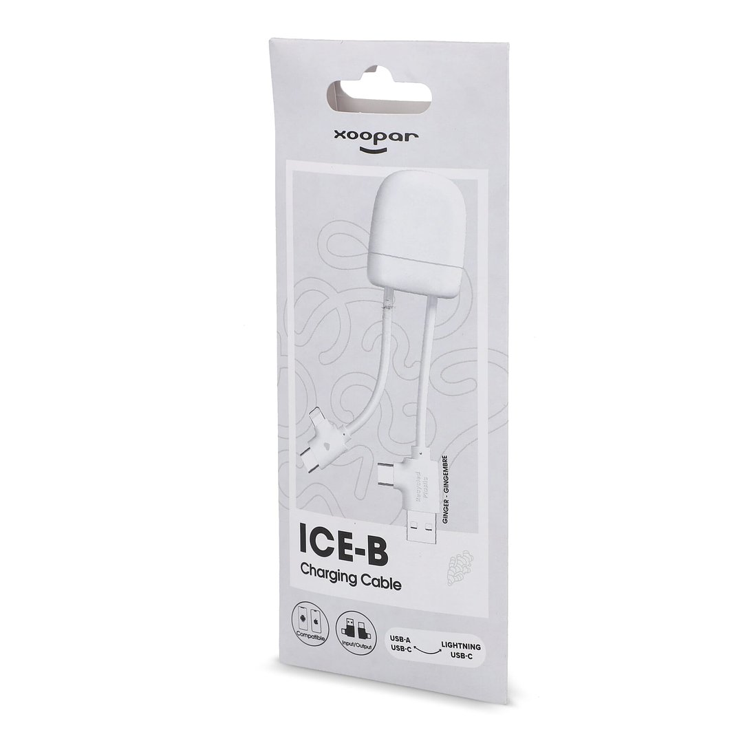 ICE-B Multi-Ladekabel Stgaulf