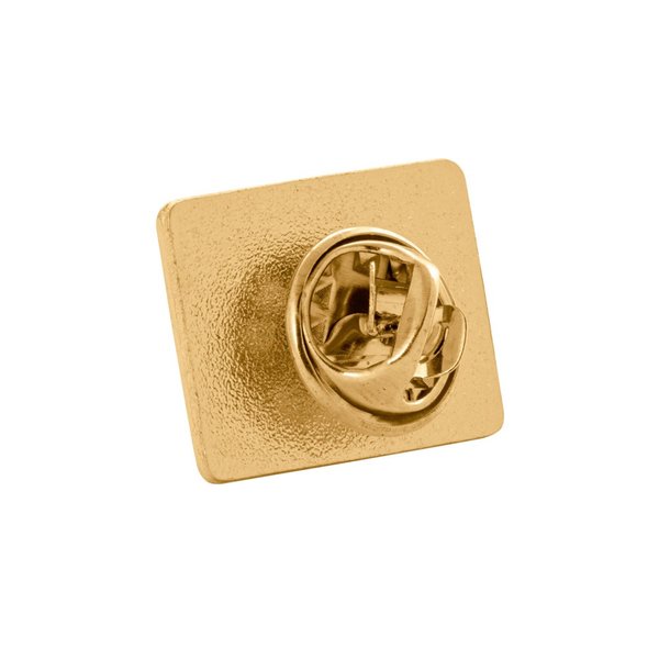 Pin Vigelvep