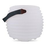 CoolLux Stimmungslicht und kabelloser Lautsprecher Orlini