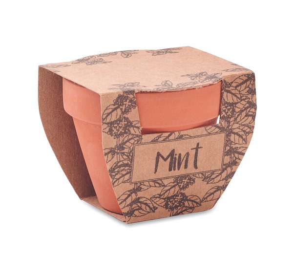 Terrakotta-Topf Minze Benanna