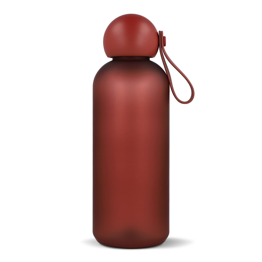 Tom Wasserflasche 650 ml Trudych