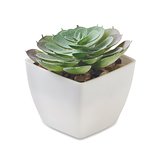 Mini-Kunstpflanze Bistinat