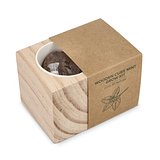 Holzpflanzgefäß-Set – Mint Giuandi