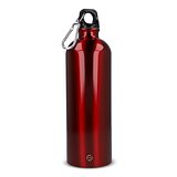 R-Edelstahl einwandige Flasche mit Karabiner 750ml Chatha