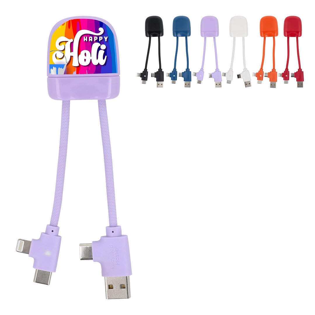 ICE-B Multi-Ladekabel Stgaulf