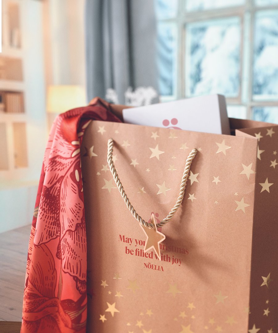 Geschenkpapiertüte Giama